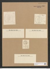 Campylodiscus undulatus Grev. (de-Toni-Nr.: Genus 57, Species 2447) Zeichnungen Sammlung Grunow Nr. 4917 (NHMW-BOT-W0373125)